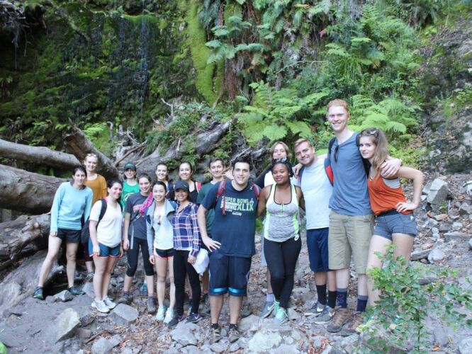 The gang in the Cecilia forest