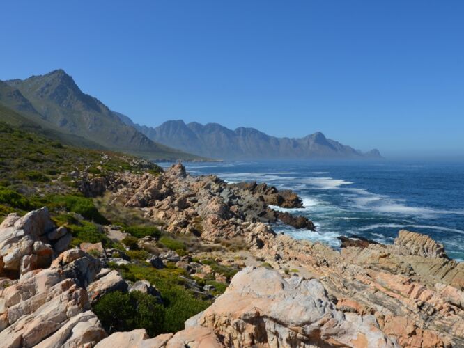 Waiting on the coast