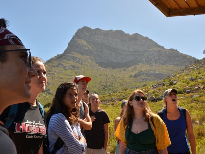 Group learning about baboons