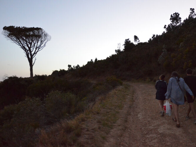 Walking back to the car