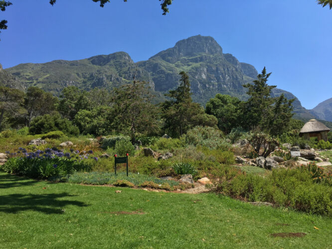 Kirstenbosch Gardens