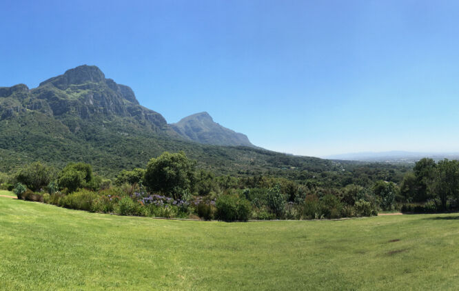 Kirstenbosch Gardens