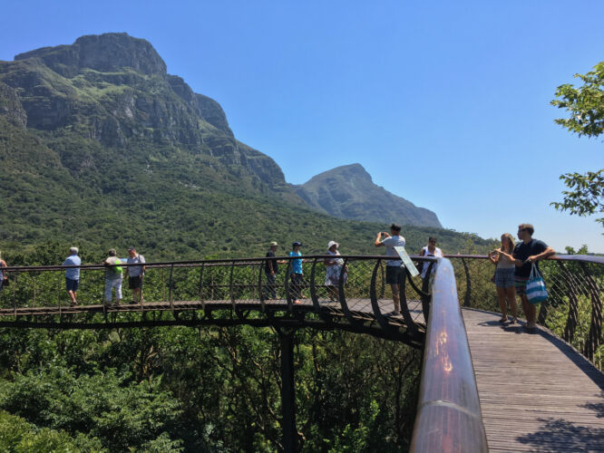 Kirstenbosch Gardens