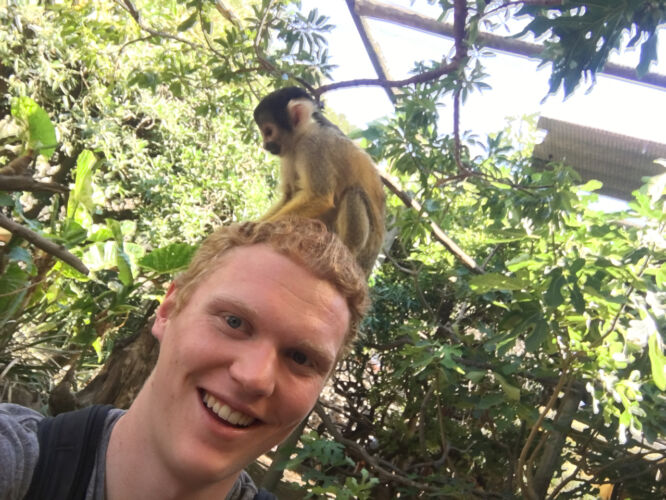 Monkey pal on head