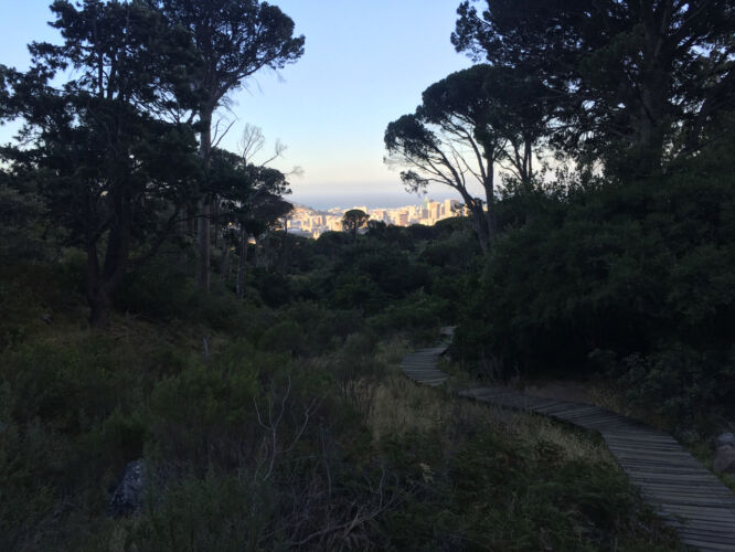 Chillin in the trees