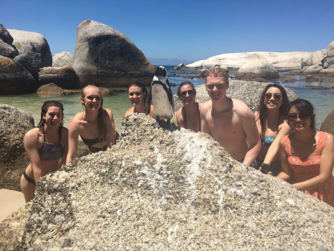 The gang with the 'guins