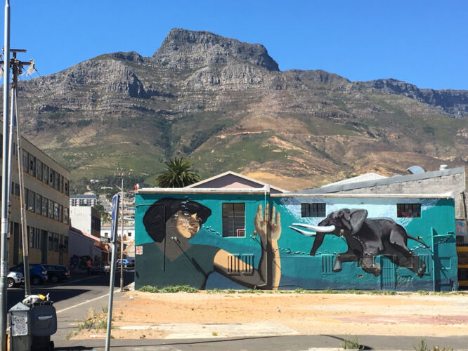 Murals in Salt River