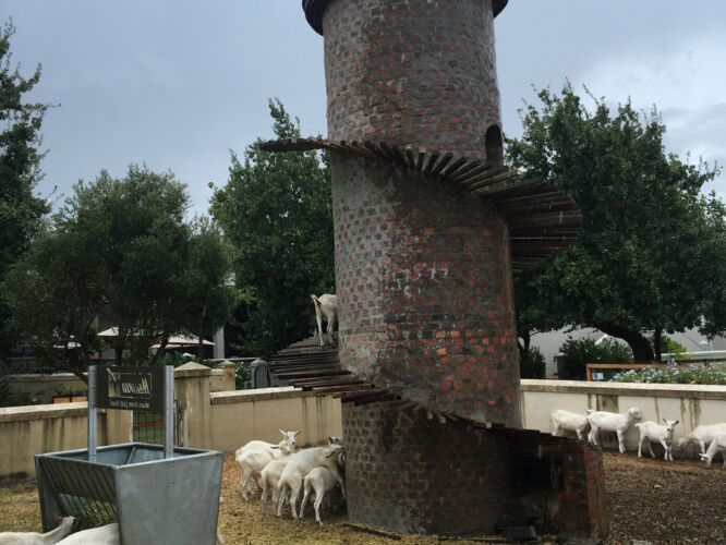 Goat tower > Trump tower
