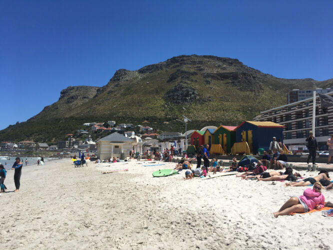 Surfing at Muizenberg beach