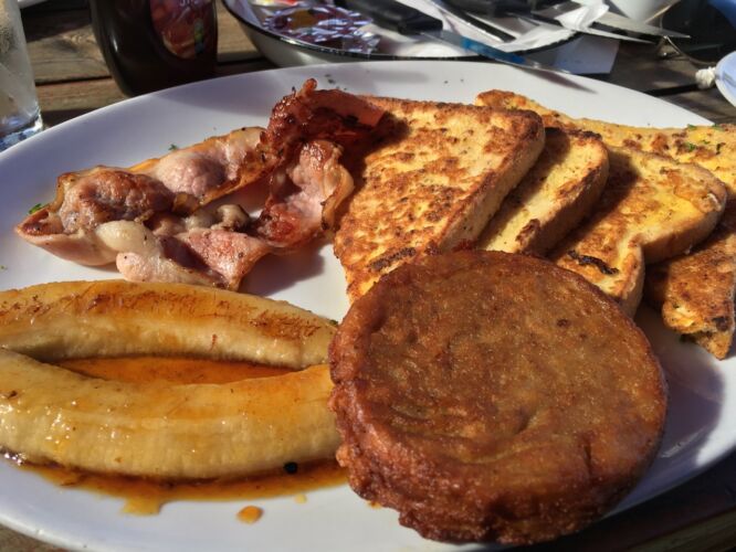 Replacement food for what the baboons stole