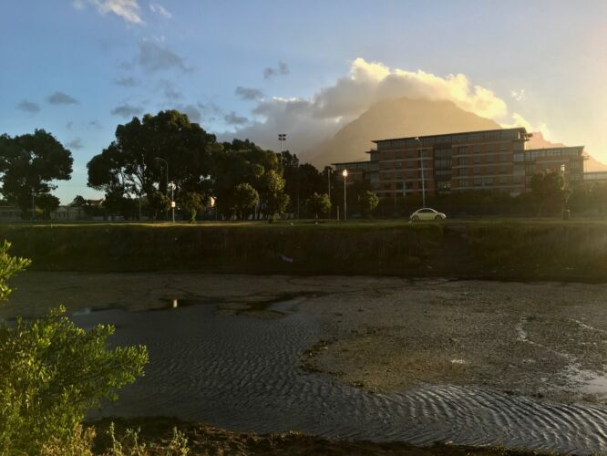 View from The River Club