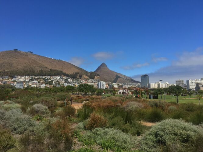 Green Point Park