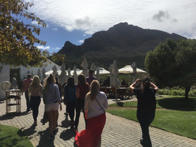 Constantia wine tasting