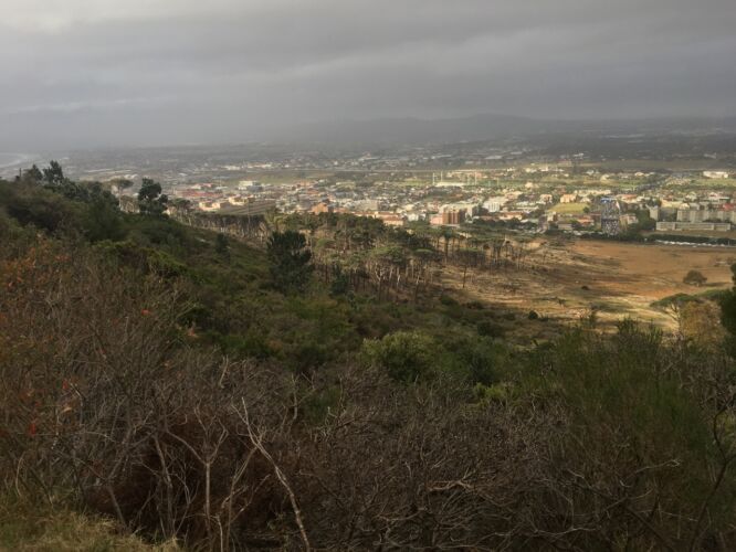 View from Rhodes Memorial