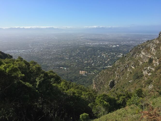 First view of the day