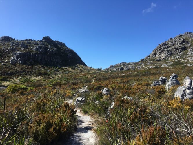 Heading along the table top