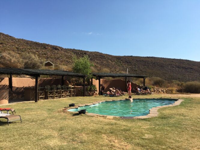 Discovering the pool