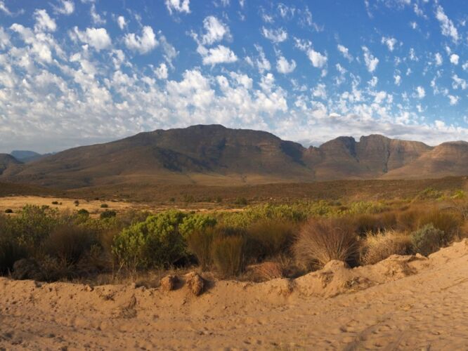View behind our campsite