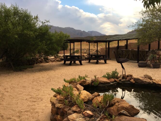 Good morning Gecko Creek