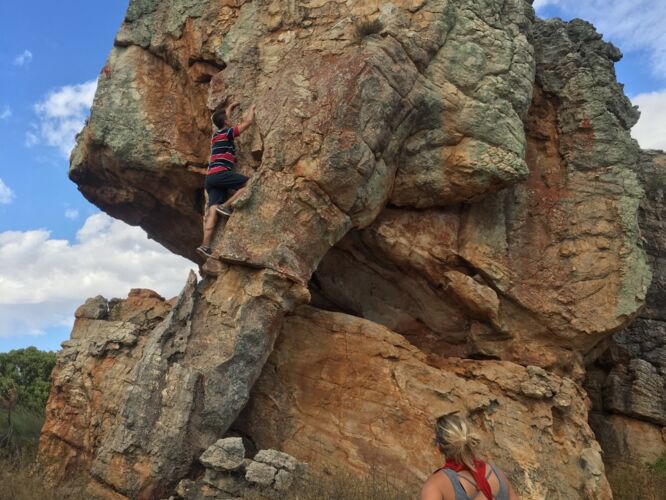 Joey climbing an elephant
