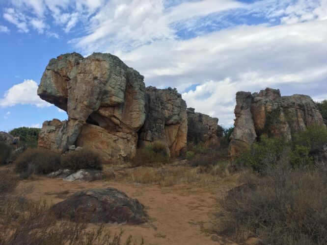 Seriously. This rock looks exactly like an elephant